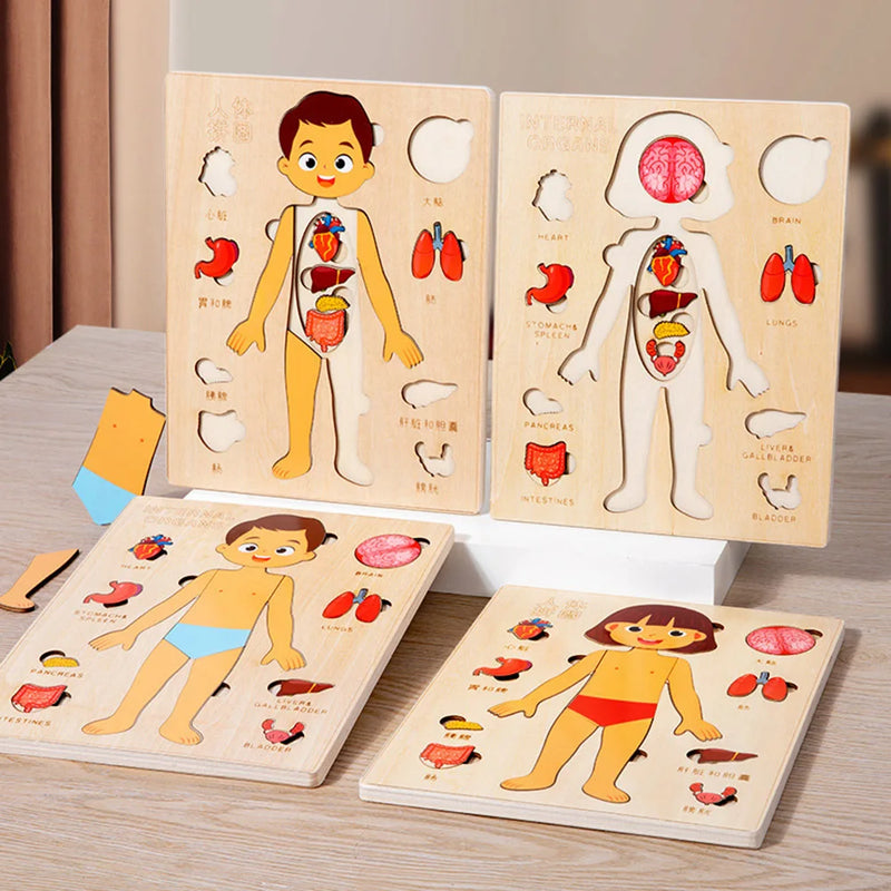 Kids Wooden Montessori Toys Human Body Organs Puzzles