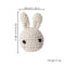 Music Rattle Crochet Animal Rattles - Montessori Children