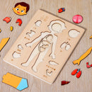 Kids Wooden Montessori Toys Human Body Organs Puzzles