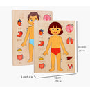 Kids Wooden Montessori Toys Human Body Organs Puzzles