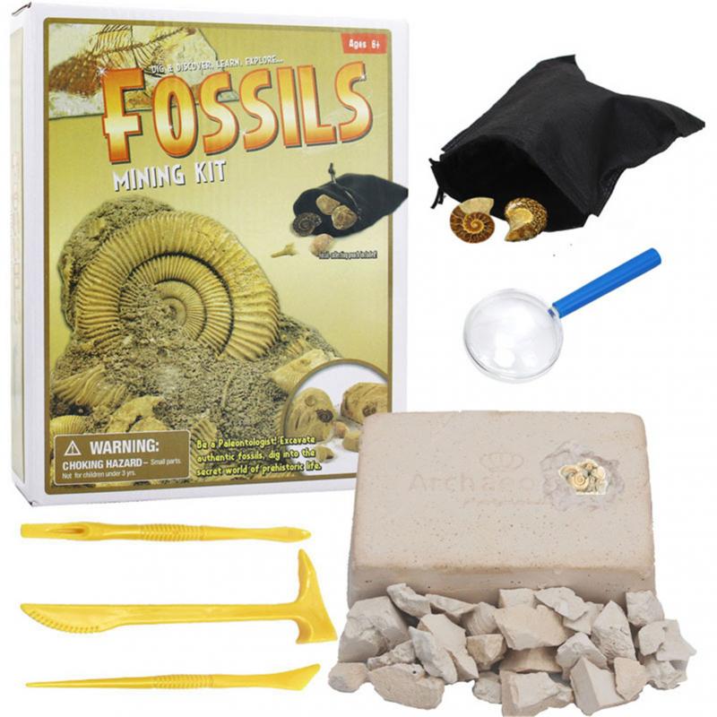 Unearth Ancient Mysteries with DIY Crystal Treasure Excavation Kit